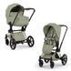 Cybex Priam 5.0 Style 2в1 Sage green шасі Rose gold 526000221-526000371-526000321 фото 1