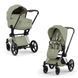 Cybex Priam 5.0 Style 2в1 Sage green шасі Chrome 526000201-526000371-526000321 фото 1