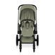 Cybex Priam 5.0 Style 2в1 Sage green шасі Matt black 526000211-526000371-526000321 фото 5